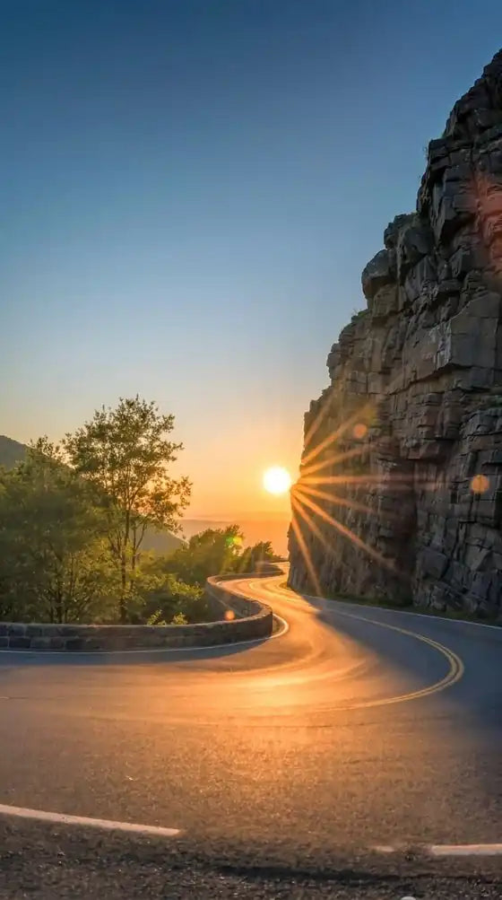 Road trips